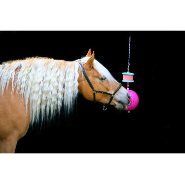 Steun voor liksteen Boredom Breaker Likit Fuchsia Roze