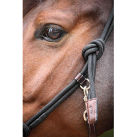 Halster Pénélope Ethologisch Havana Bruin