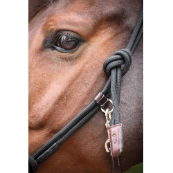 Halster Pénélope Ethologisch Havana / zwart Bruin Halster Pénélope Ethologisch Havana / zwart Bruin