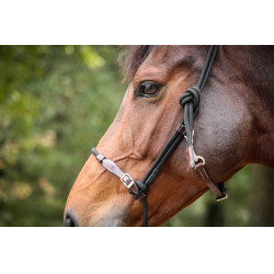 Halster Pénélope Ethologisch Havana / zwart Bruin Halster Pénélope Ethologisch Havana / zwart Bruin