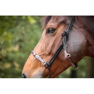 Halster Pénélope Ethologisch Havana / zwart Bruin Halster Pénélope Ethologisch Havana / zwart Bruin