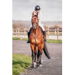 Martin collier Pénélope Havana Bruin