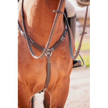 Martin collier Pénélope Havana Bruin