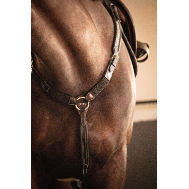 Martin collier Pénélope Havana Bruin