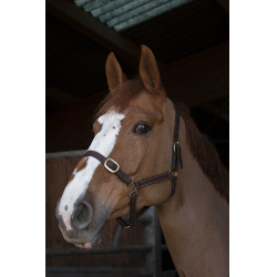 Halster Norton Club Leer Havana Bruin