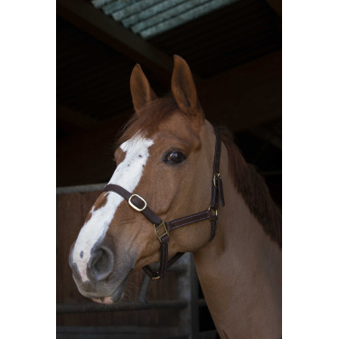 Halster Norton Club Leer Havana Bruin