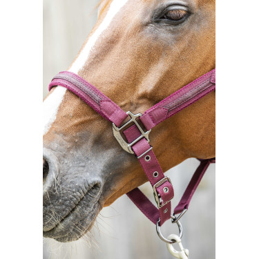 Licol Lami-Cell Sparkling Bordeaux