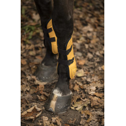 Set van Lami-Cell LC kogelbeschermers en peesbeschermers Honing / goudkleurig Geel