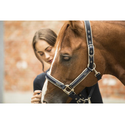 Licol Lami-Cell Elegance Marine / champagne Blauw