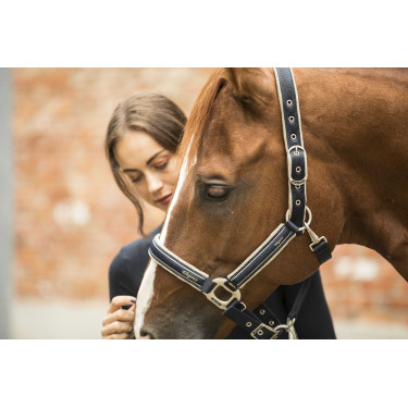 Licol Lami-Cell Elegance Marine / champagne Blauw