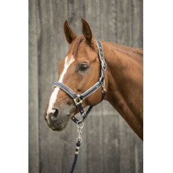 Licol Lami-Cell Elegance Marine / champagne Blauw