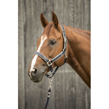 Licol Lami-Cell Elegance Marine / champagne Blauw