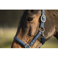 Licol Lami-Cell LC Atolblauw