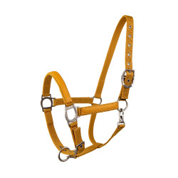 Licol Lami-Cell LC Honing / goudkleurig Geel