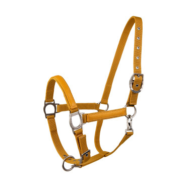 Licol Lami-Cell LC Honing / goudkleurig Geel