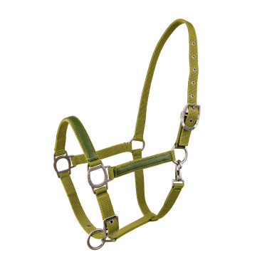 Licol Lami-Cell LC Pistache Groen