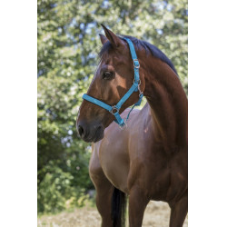Norton Fluo halster gevoerd