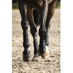 Gesloten peesbeschermers Lami-Cell V22 Brushing boots Zwart