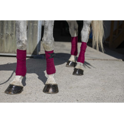 Polo bandages Riding World Eco Bordeaux