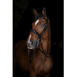 Teugels van hoofdstel Eric Thomas Elite 13 mm
