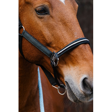 Nylon halster Equithème Domino Groen Nylon halster Equithème Domino Groen