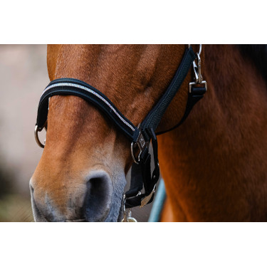 Nylon halster Equithème Domino Groen Nylon halster Equithème Domino Groen