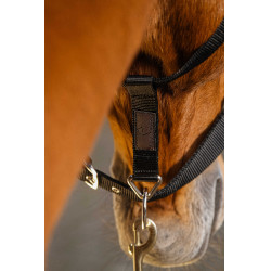 Nylon halster Equithème Domino Bordeaux Nylon halster Equithème Domino Bordeaux