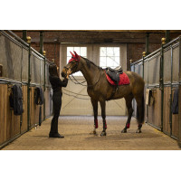 Gamaschen met kogelbeschermers Lami-Cell Elite Koningsblauw