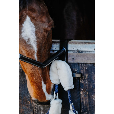 Draagbare zadelhouder Hippotonic Zwart