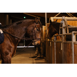 Duitse teugels Norton Pro 13mm Havana Bruin