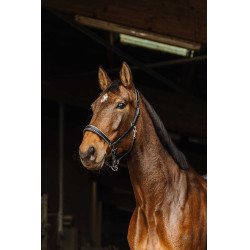 Leren halster Norton Rock Zwart