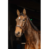 Leren halster Norton Rock Zwart