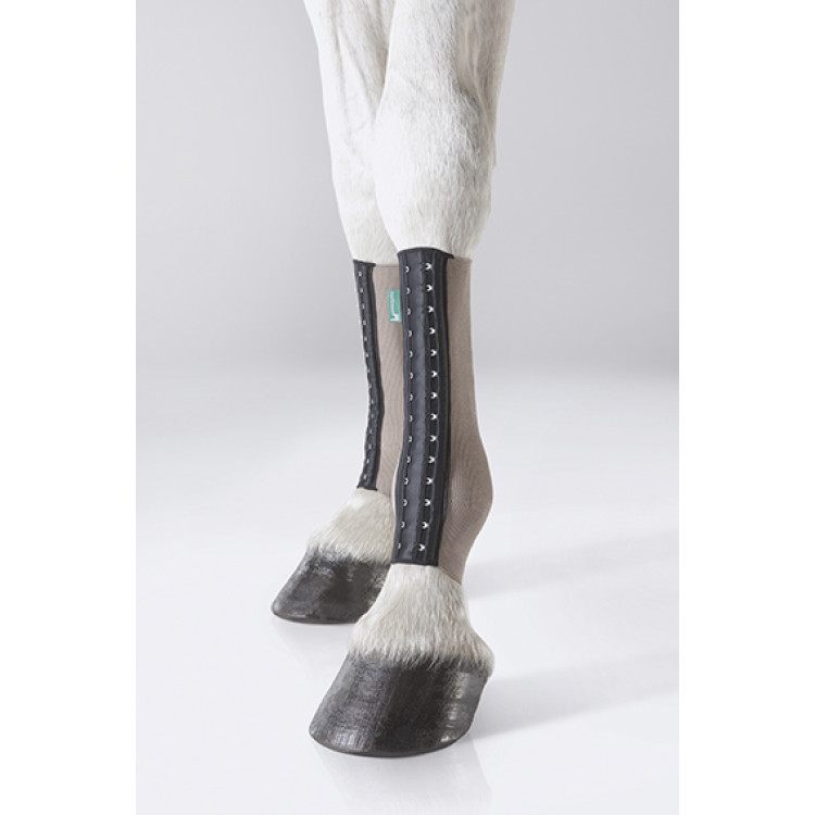 Equicrown Fit zilver achterkogel Equicrown Fit zilver achterkogel