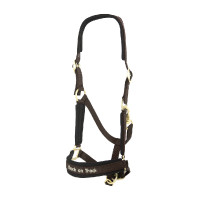 Halster Werano Back On Track Bruin Halster Werano Back On Track Bruin