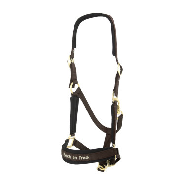Halster Werano Back On Track Bruin Halster Werano Back On Track Bruin