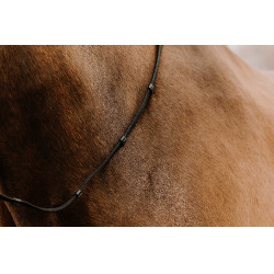 Teugels riemen Norton Club Oily Zwart