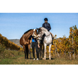 Zweet Equithème Hervé Marineblauw