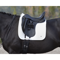 Tapijt Nr.Ⅰ Dressuur Back On Track Blauw