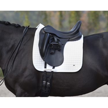 Tapijt Nr.Ⅰ Dressuur Back On Track Wit
