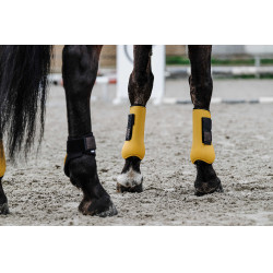 Equithème gaiters Goud Equithème gaiters Goud
