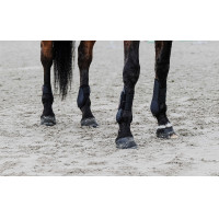 Kogelbeschermers Equithème Zwart