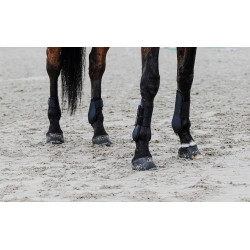 Kogelbeschermers Equithème Zwart