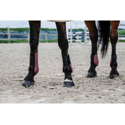 Kogelbeschermers Equithème Bordeaux