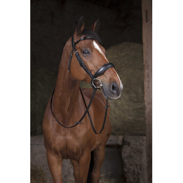 NORTON net teugels - 16 mm