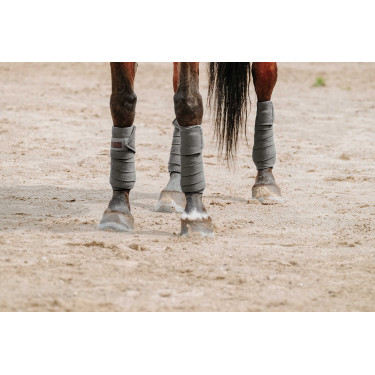 Equithème polobandages set van 4 Grijs