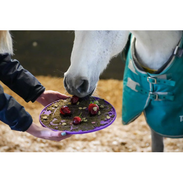 Lik-It liksteenmat Graze Maze Violet