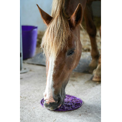 Lik-It liksteenmat Graze Maze Violet