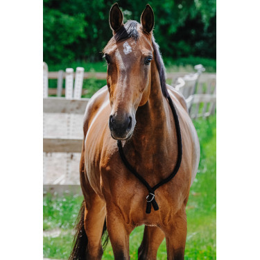 Norton touwtje Zwart Norton touwtje Zwart