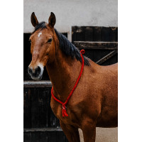 Norton touwtje Zwart