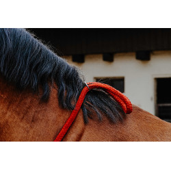 Norton touwtje Rood